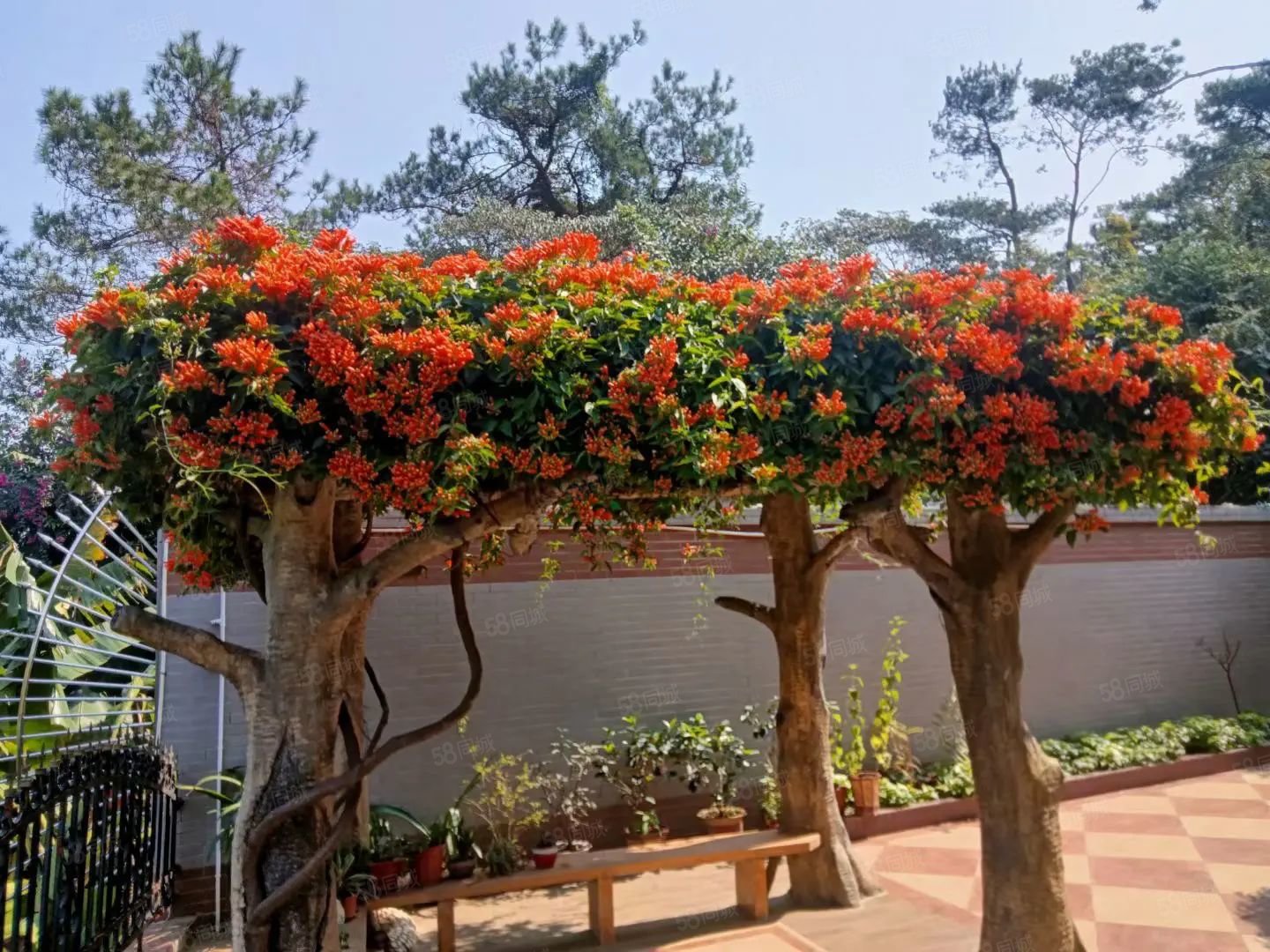 南粤苑别墅小区5室2厅4卫360㎡南330万