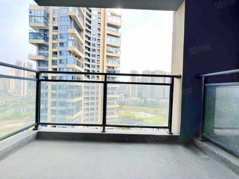 南向采光好 商业配套成熟 临地铁 双卫格局,卧龙谷壹号-成都58同城