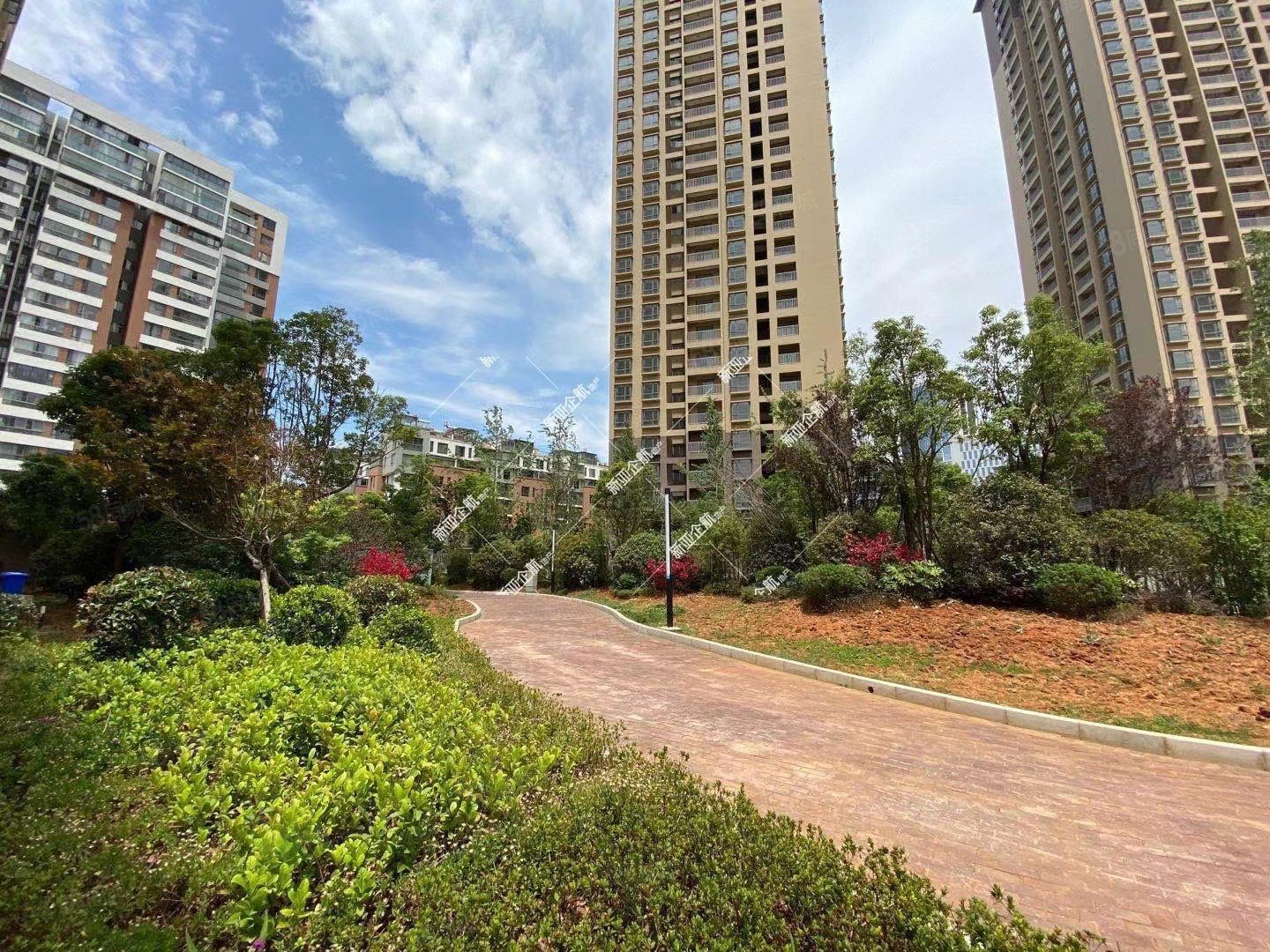 红云精装东北碧桂园都荟93万1061平3房18楼