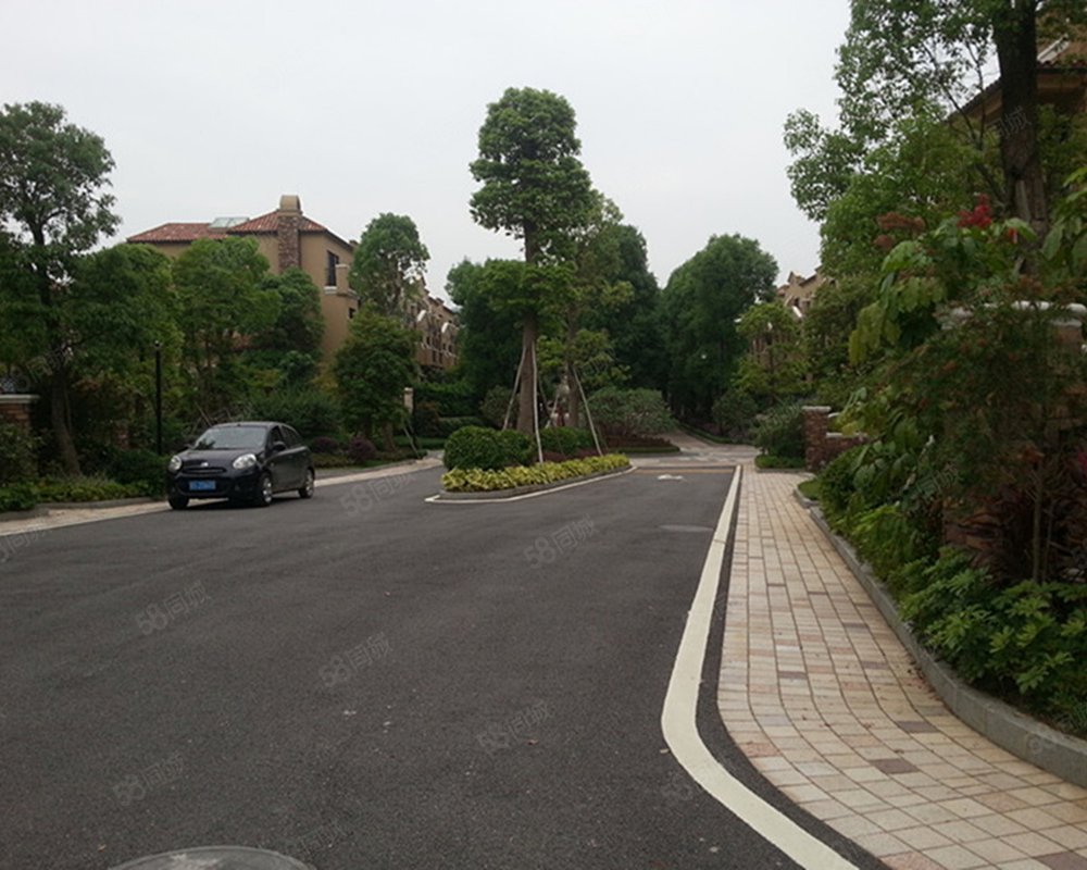 【中海香樟墅, 中海香樟墅小区详情,房价走势,房源,业主论坛】- 广州