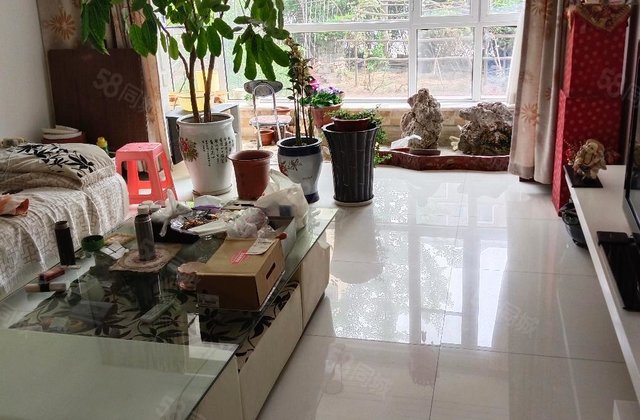 健康家园3室2厅147.6㎡107万二手房图片