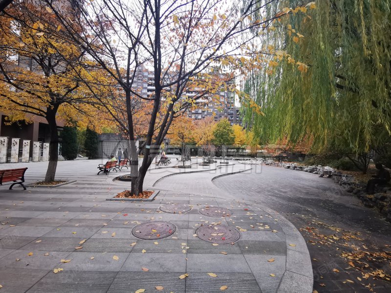 云會里園流清園2室1廳2衛(wèi)117.01㎡東西930萬