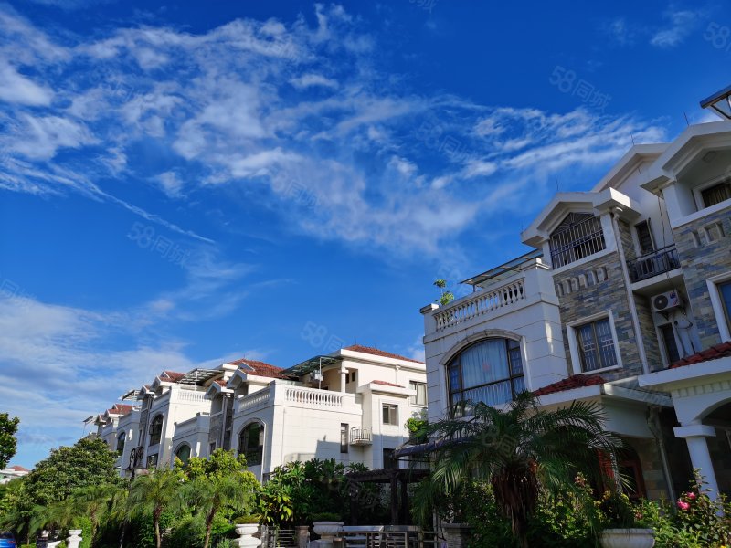 【10图】碧桂园独栋别墅 只售275万超300方花园 带大车库,肇庆碧桂园