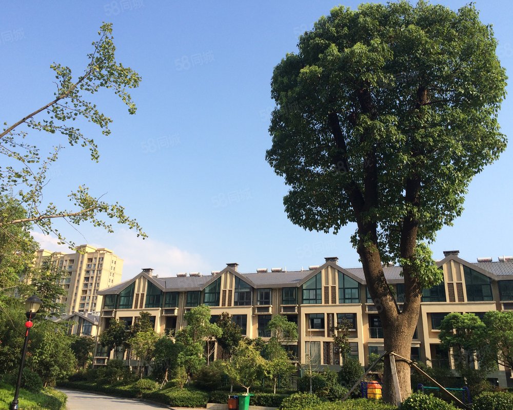 观山名筑(别墅)小区详情,房价走势,房源,业主论坛】- 无锡58同城
