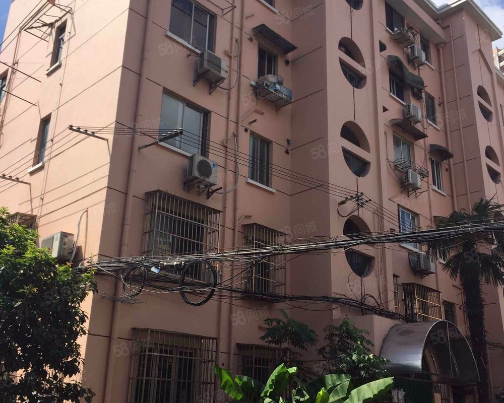 金浦小区塘桥内环以内