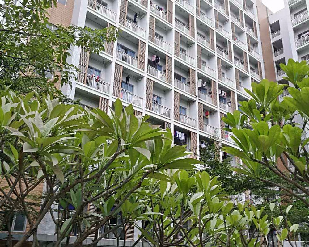 【松涛公寓, 松涛公寓小区详情,房价走势,房源,业主论坛】- 东莞58