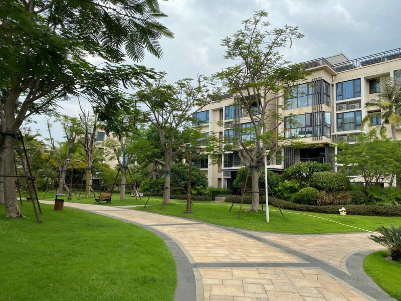 恒大美丽沙四层高小洋房天玺湾九小侨中学区房价格美丽买到就砖到