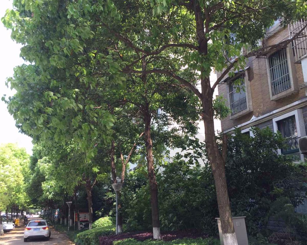 【紫金海岸, 紫金海岸小区详情,房价走势,房源,业主论坛】- 南京58