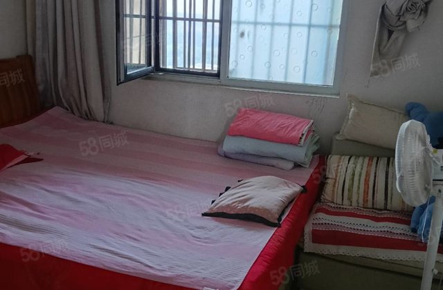 七中，振兴路小雪，星光水晶丽城，阿尔卡迪亚，过渡两居