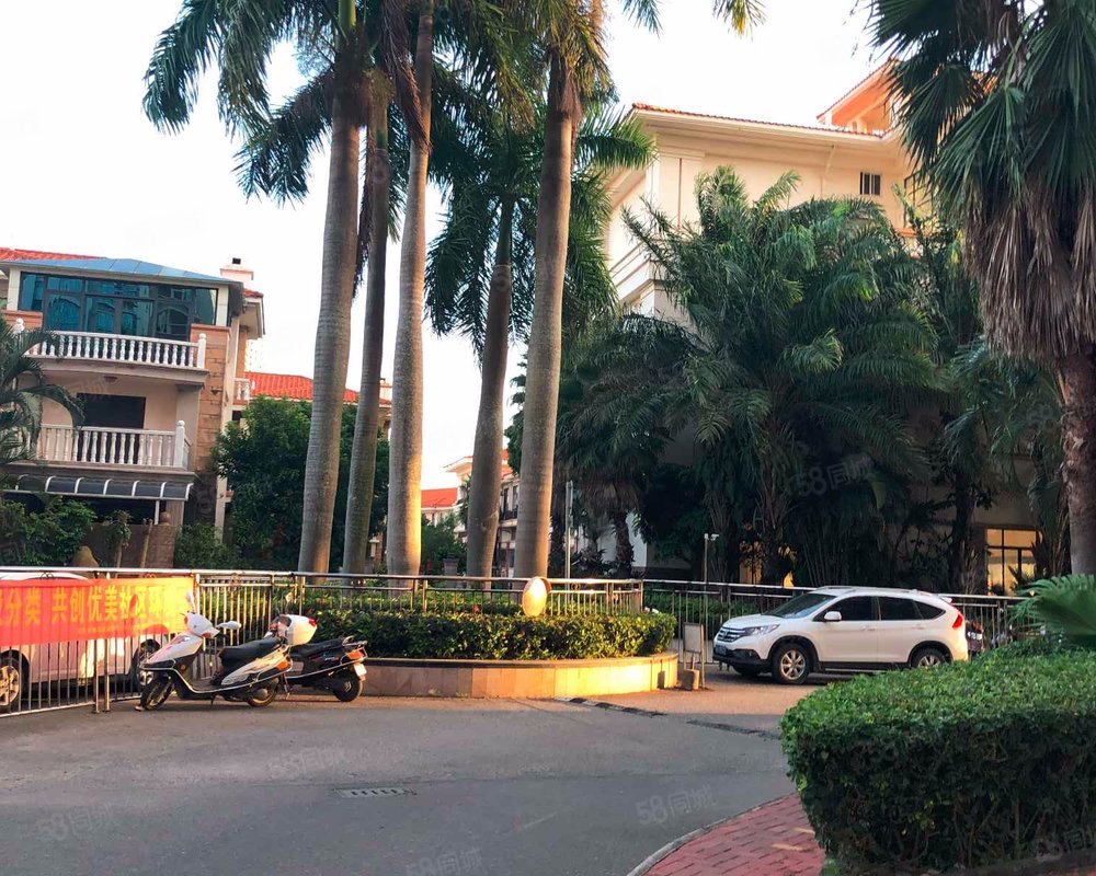 【棕榈园, 棕榈园小区详情,房价走势,房源,业主论坛】- 茂名58同城