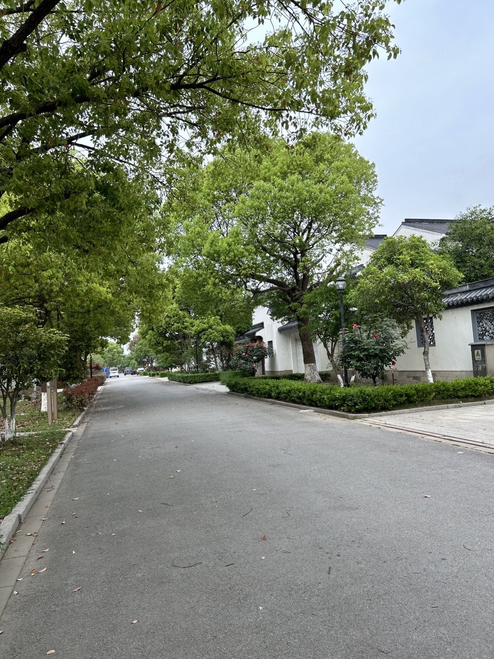 银湖花园5室2厅6卫520㎡南1580万