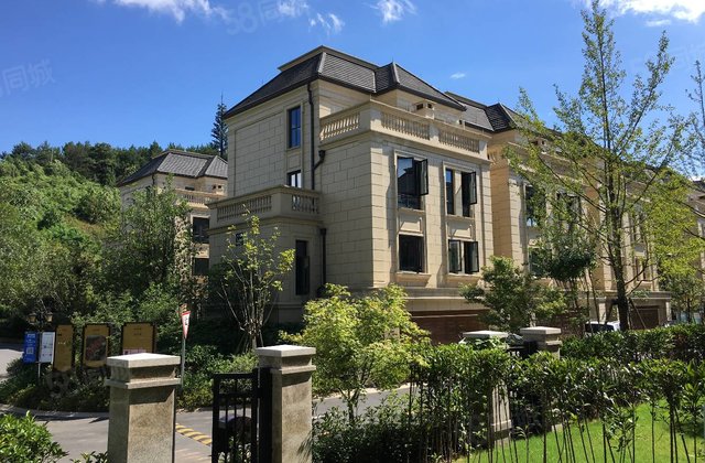 龙山庄园,房东移民杜家急售,无税费二期法式别墅,精装修带电