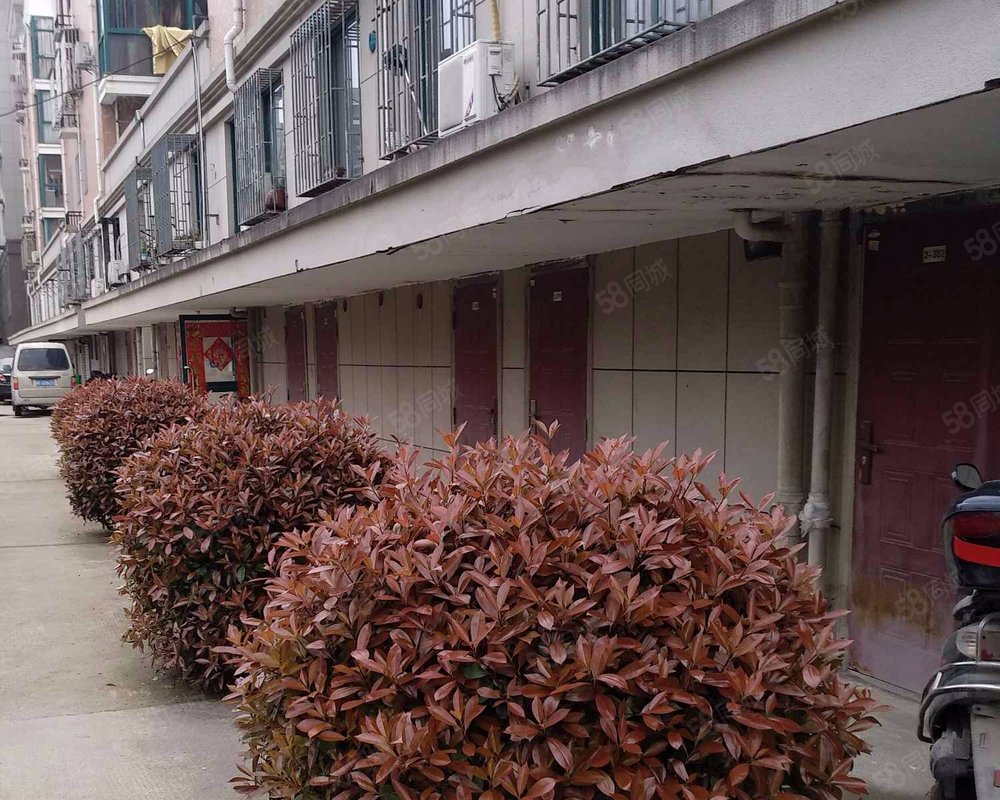 【文华苑(桐乡), 文华苑(桐乡)小区详情,房价走势,房源,业主论坛】