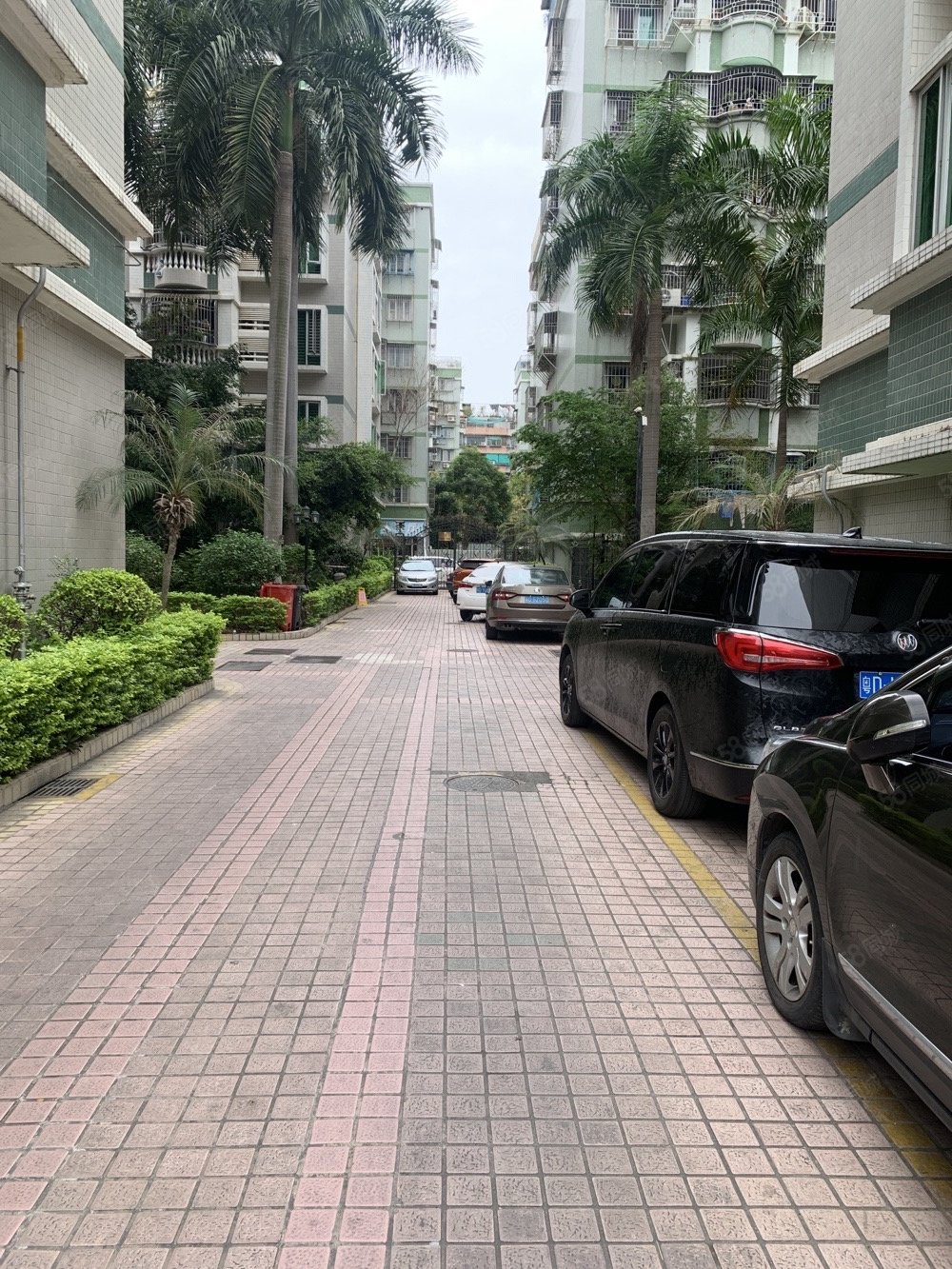 正园心144平方 发财厝 市中心地带,聚龙花园-汕头58同城