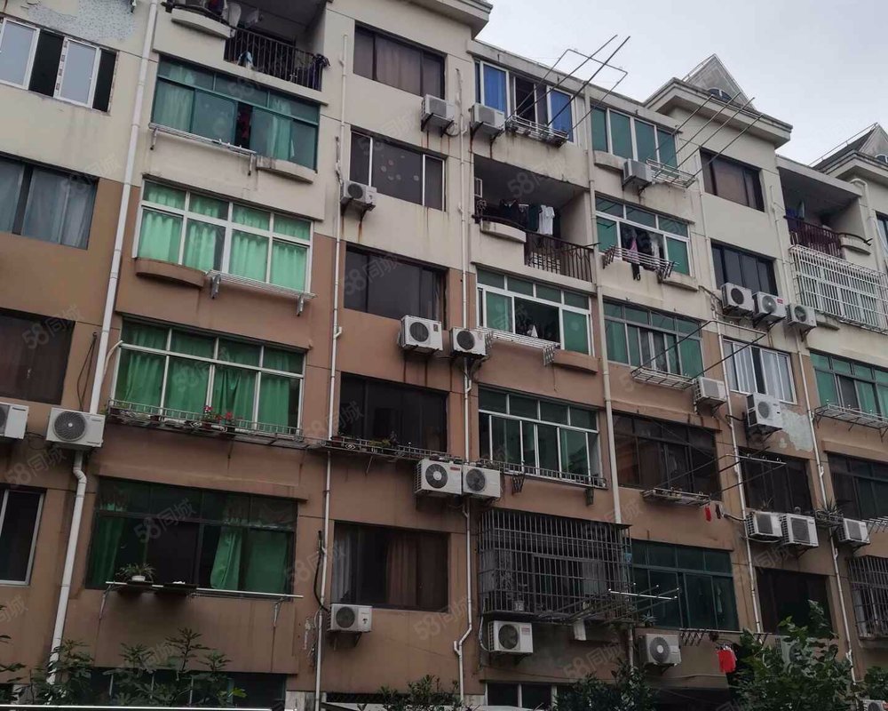 【杨园一村, 杨园一村小区详情,房价走势,房源,业主论坛】- 上海58