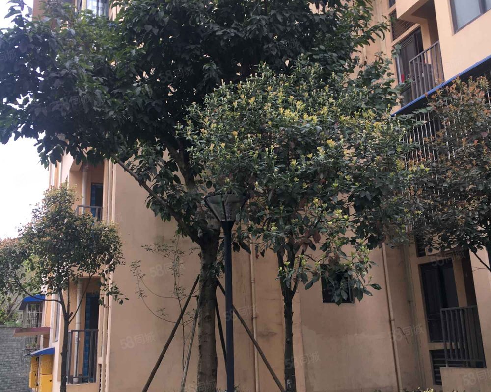 【枫林小筑, 枫林小筑小区详情,房价走势,房源,业主论坛】- 重庆58