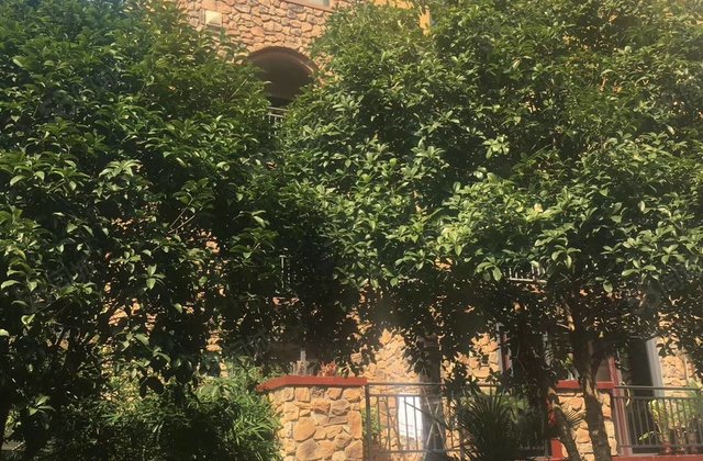 武冈120-160万二手房网,武冈120-160万房产网,武冈120-160万二手房