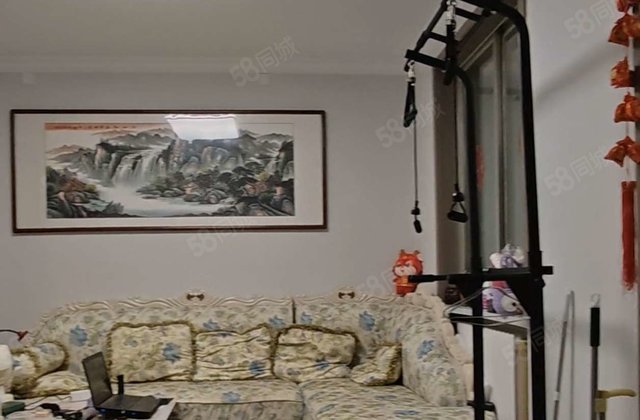 文轩总校，老一中，一路之隔聊城师范家属院   小三房 得房好