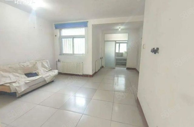 金柱文苑 两室48万南北通透      比租房合适大学城