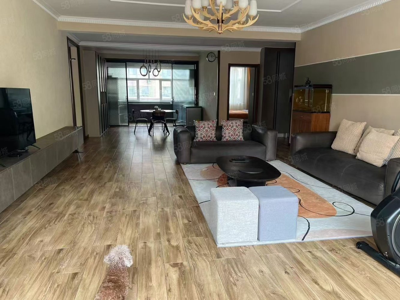 康裕新苑4室2厅2卫205㎡南北183万