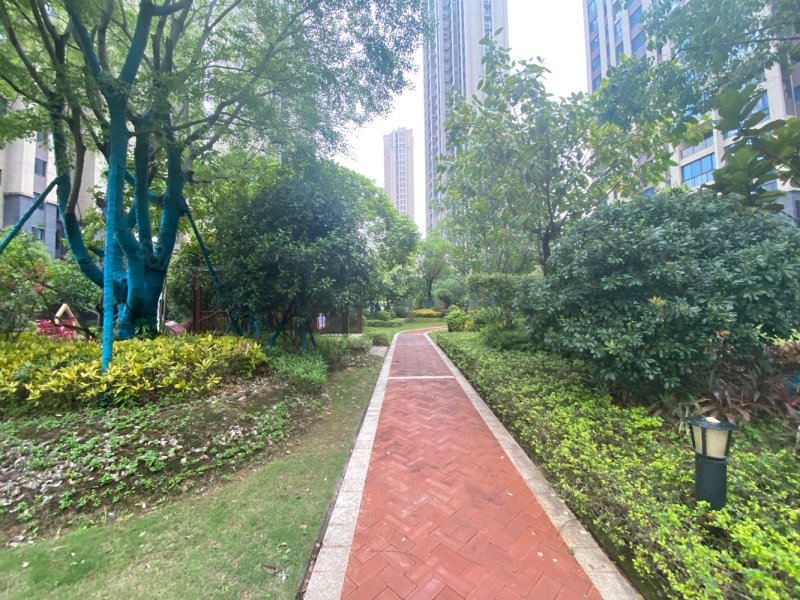 福清碧桂园华榕世纪城4室2厅2厅看房有锁