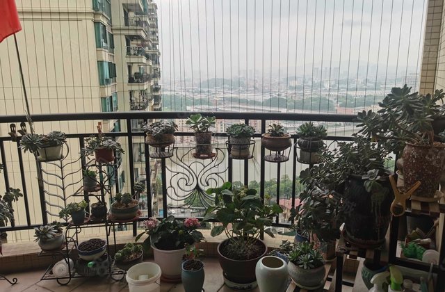 恒大御景半岛3室2厅96.94㎡185万二手房图片