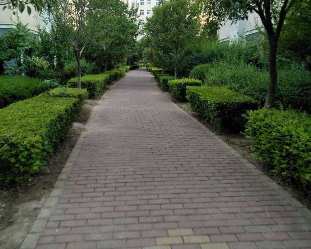 【齐明雅苑, 齐明雅苑小区详情,房价走势,房源,业主论坛】- 邹平58