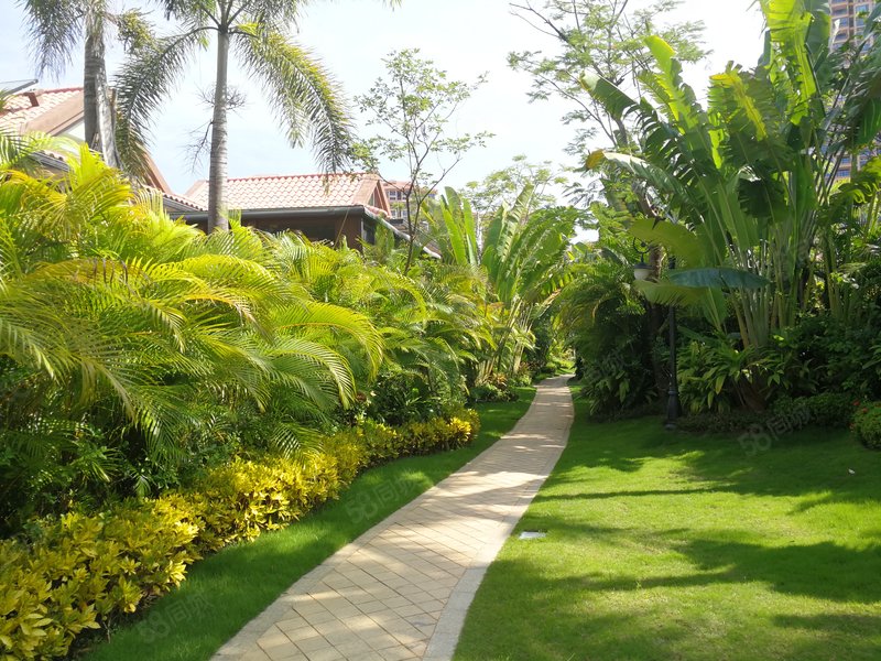 实拍图片 清水湾碧桂园二期克拉别墅底价出售 满二可过户