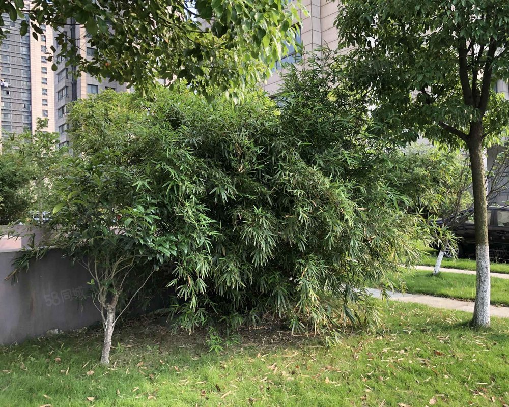 【御景苑, 御景苑小区详情,房价走势,房源,业主论坛】- 海宁58同城