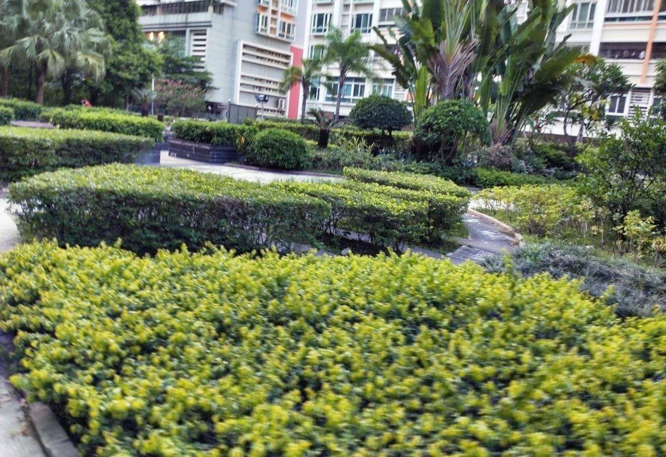 头期5粒拿金砂东路润泽花园正规4房实用率超高南房北厅