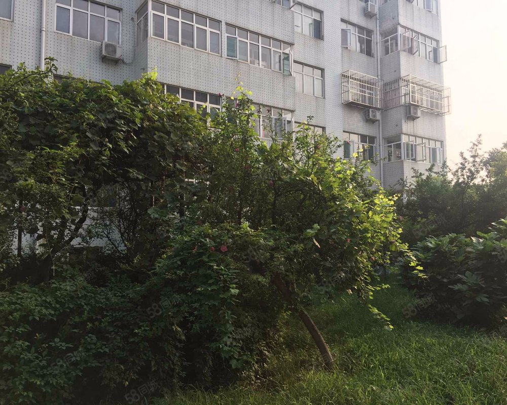 【陈家庄居民区, 陈家庄居民区小区详情,房价走势,房源,业主论坛】