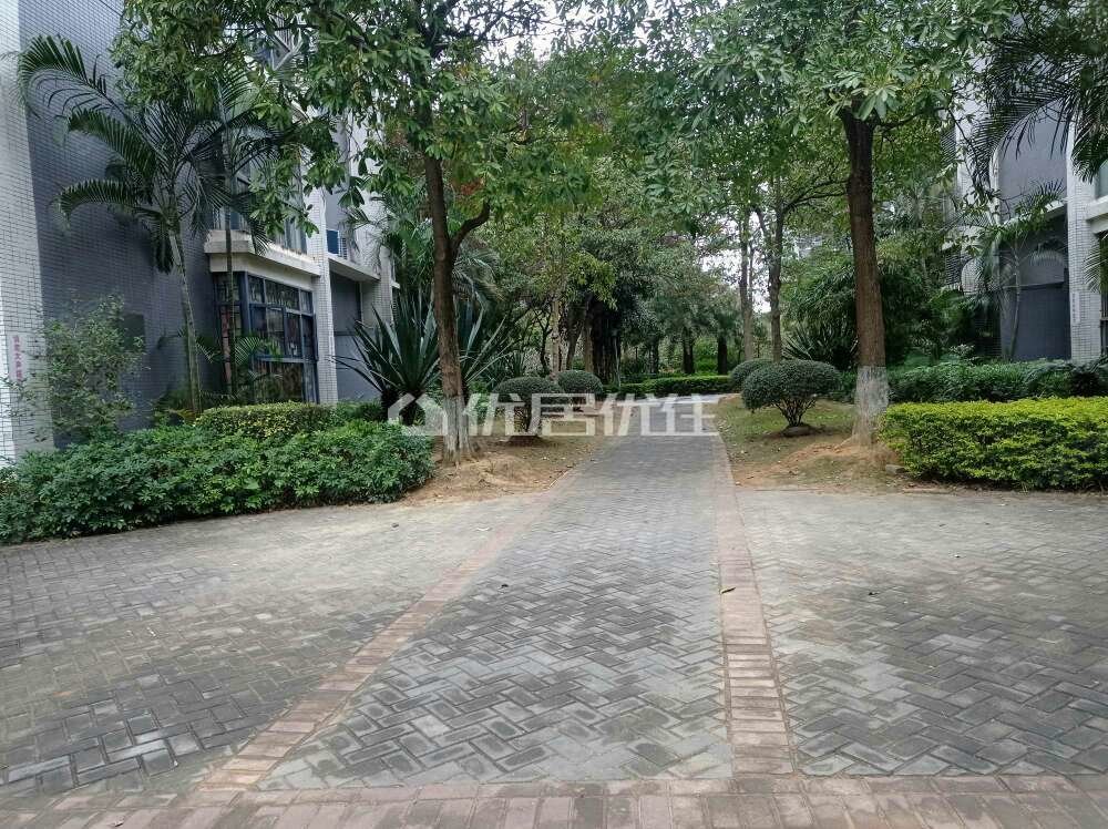 柳沙半岛(半岛融园)精装楼中楼 红木装修 性价比高 市直机关