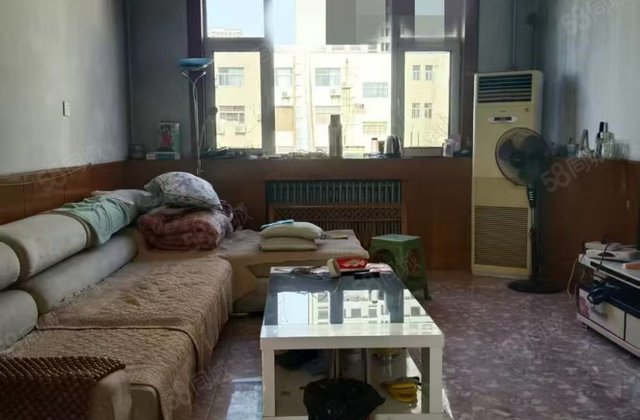 文轩 聊大附近 农科院 公安局单位家属院 三室朝阳双阳台