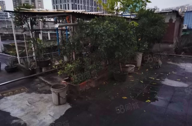 长兴直街小区1室1厅26㎡90万二手房图片