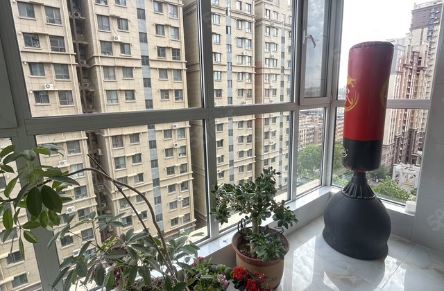 急售 东昌东 外国语西邻 东昌丽都双卫 送车储 东昌甲第