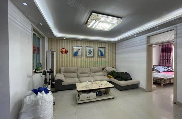 房东急售盛世嘉苑 刚需小三居 免大税装修好 楼龄新地上储藏室