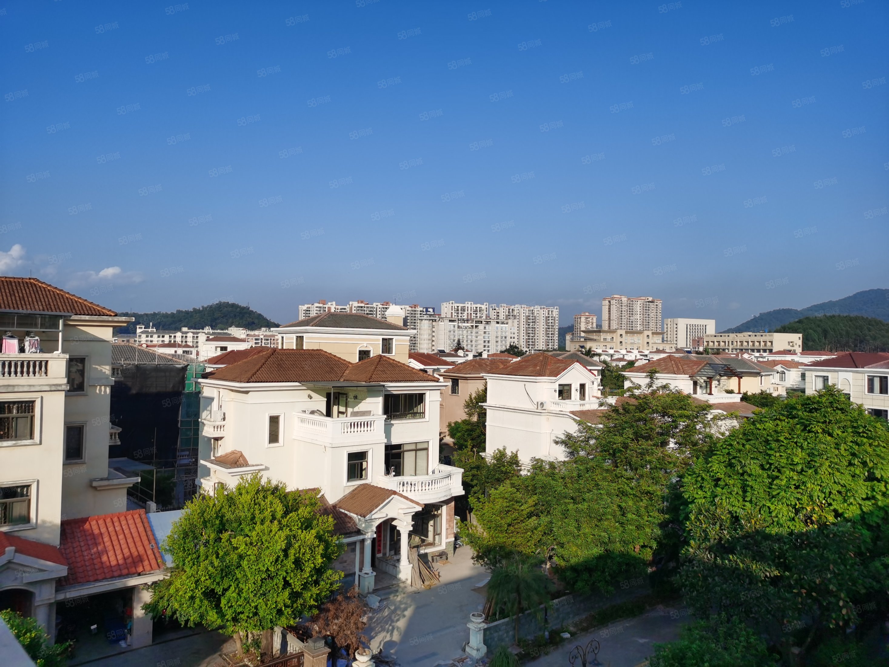 肇庆碧桂园(别墅)7室2厅8卫356㎡南北338万