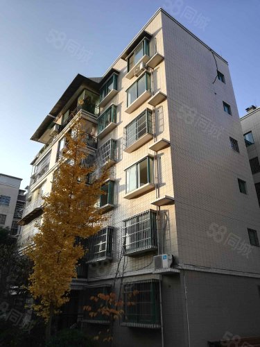 绿苑小区精装三房带车位步梯中间楼层南北通透赠送家私满五年