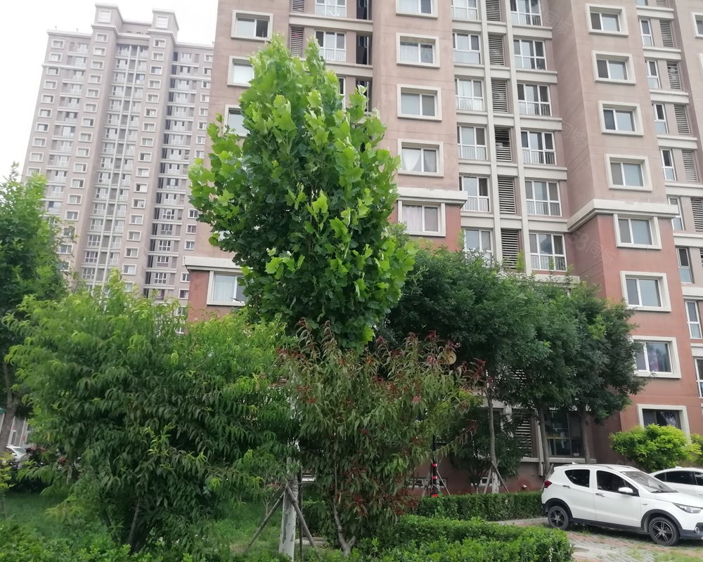 【桃花寺新苑, 桃花寺新苑小区详情,房价走势,房源,业主论坛】- 天津