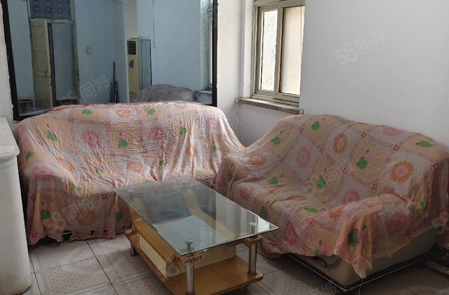 文轩书 !急售!两室两厅一卫!单位家属院 三楼