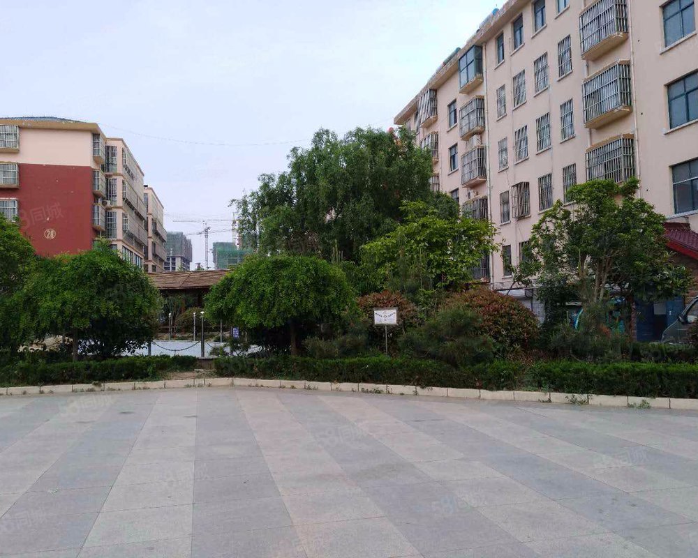 【东城社区(郯城), 东城社区(郯城)小区详情,房价走势,房源,业主论坛