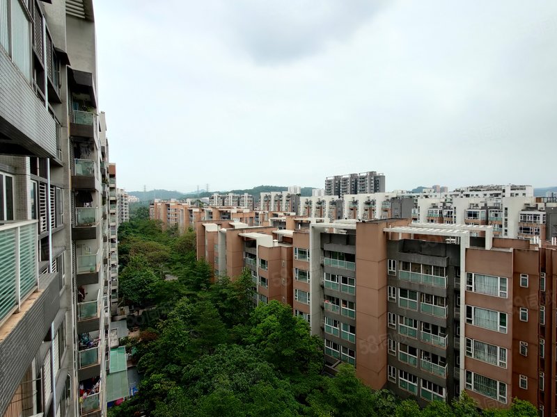岭南新世界 嘉云府精装修大三房两卫 看方便 少有放盘
