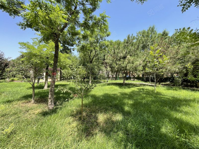 大運河孔雀城(別墅)4室2廳4衛(wèi)216㎡南北138萬