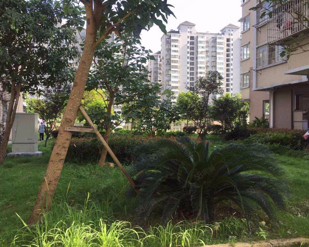 登云佳园(南区)小区详情,房价走势,房源,业主论坛】- 福州58同城