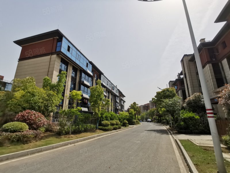 碧桂园洋房140平精装修东西全送随时看房