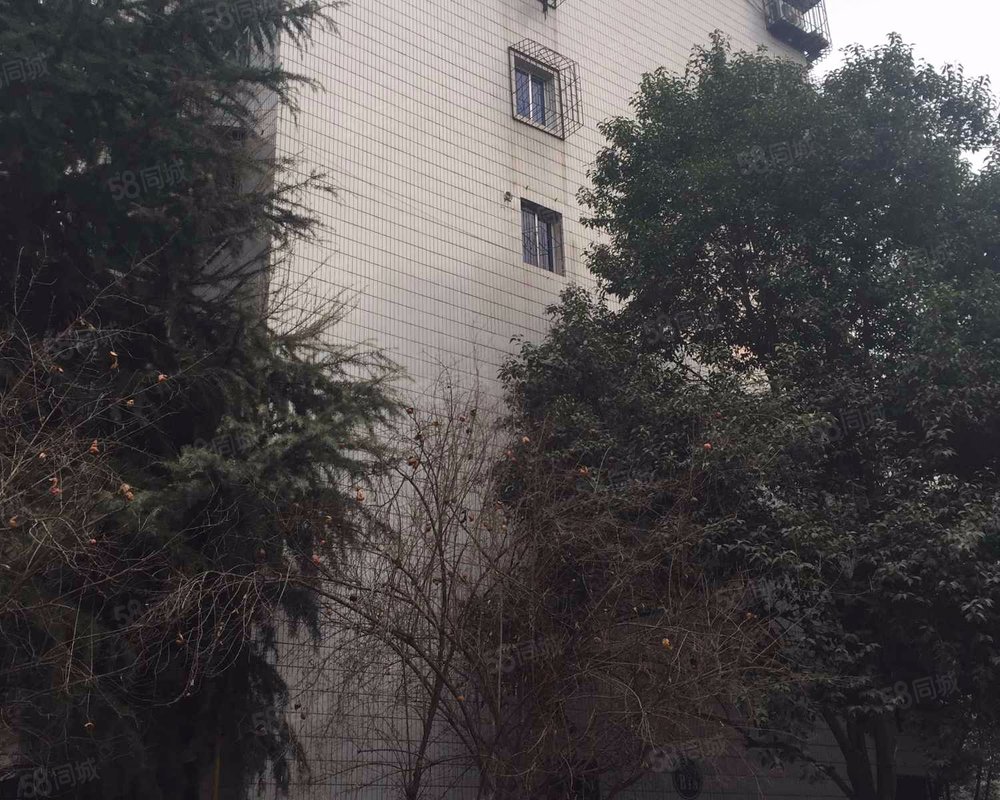 【雅荷花园, 雅荷花园小区详情,房价走势,房源,业主论坛】- 西安58