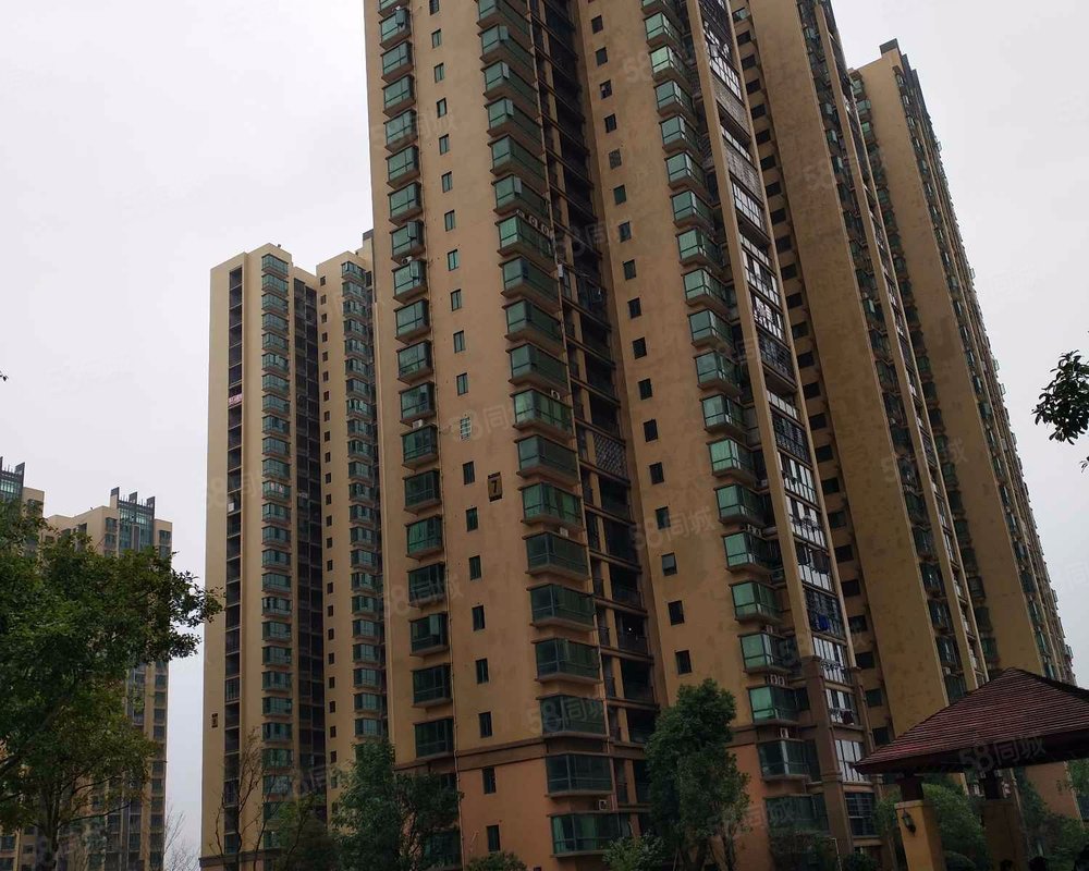 28%商圈区域岳塘板塘详细地址芙蓉大道建