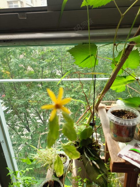 錦秋家園2室1廳1衛(wèi)92.23㎡西850萬