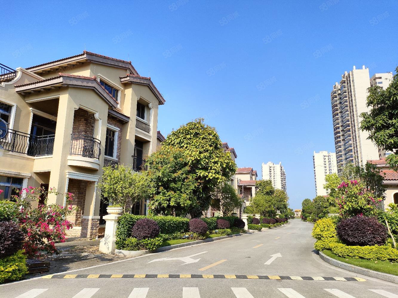 碧桂园别墅全新毛坯赠前后花园和露台