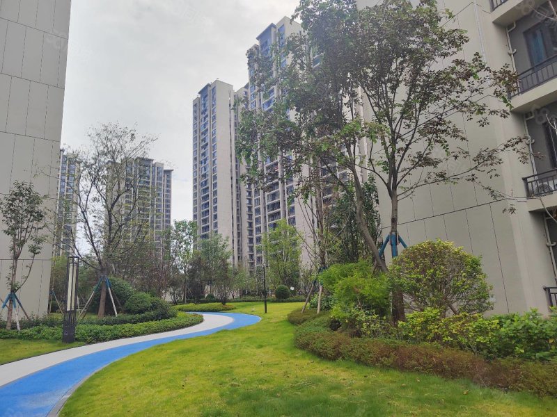 【10图】南湖知名楼盘 江天樾现房 单价4000多 产权